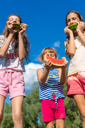Children eating watermelon outdoors. Selective focus.の写真素材