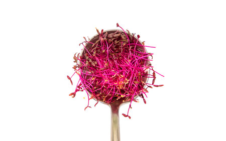 Microgreens amaranth isolate on a white background. Selective focus.