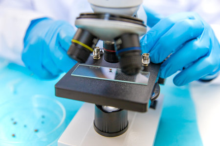 The tick laboratory is conducting an analysis. Selective focus.