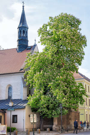 Krakow, Poland, MAY 05, 2016 - Facade of The Church Of St Giles - Roman Catholic church of the Dominican Order. This spot is a religious site since the 11th century.のeditorial素材