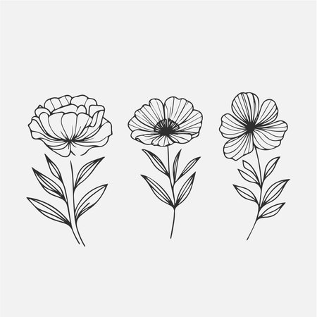Set of hand drawn flowers. Vector illustration isolated on white background.のイラスト素材