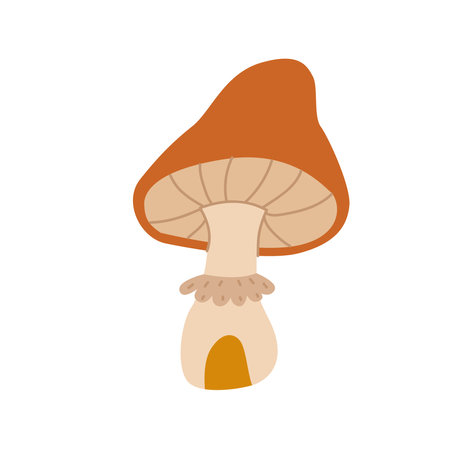Autumn set of hand drawn mushrooms and leaves. Vector illustration.のイラスト素材