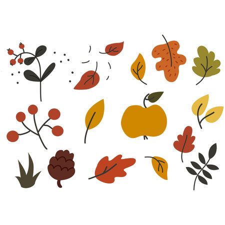 Pumpkin vector illustration. Hand drawn flat style. Isolated on white background.のイラスト素材