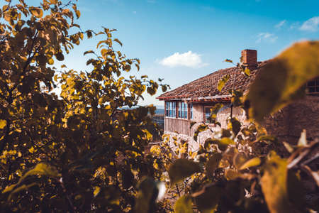 Beautiful countryside house in autumn orange leaves. Cyan sky and space for copy text, front viewの写真素材