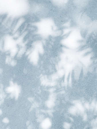 Tropical shadows of leaves on white background