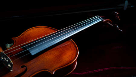 Close up detail of violin and bowの写真素材