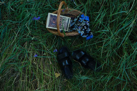 picnic with basket and book in nature
