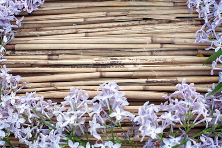 Lilac flowers on dry reed background, blossom branch on vintage woodの写真素材