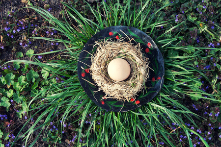 Chicken egg in the bird nest on green grass bushの写真素材