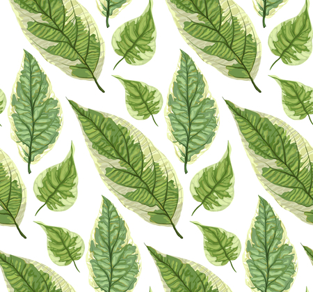 Vector seamless background with leaves. Realistic pattern with green foliage. Botanic texture. Great nature design. Leaf fall. Decorative elegant illustration. Decorative illustration with branches.のイラスト素材