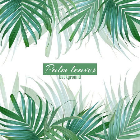Vector palm leaves background. Tropical banner. Stylish poster wのイラスト素材