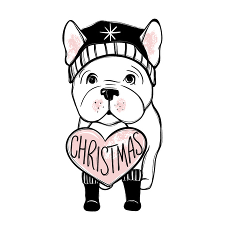 Cute vector dog in winter clothes. Fashion French bulldog puppy. Stylish animals. Clothing for pets.のイラスト素材