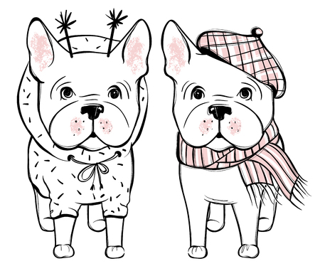 Cute vector dog in winter clothes. Fashion French bulldog puppy.のイラスト素材