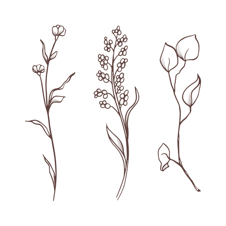 Vector floral collection. Hand drawn set Flowers and leaves. Blooming composition. Botanical illustration on a transparent background. Outline drawing. Line art. Vintage flowers.のイラスト素材