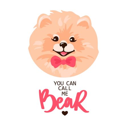 Pomeranian Spitz puppy portrait isolated on white background.のイラスト素材