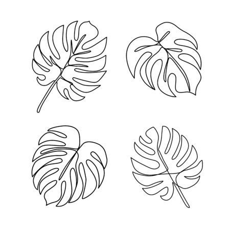 Continuous line monstera leaf. Tropical leaves contour drawingのイラスト素材