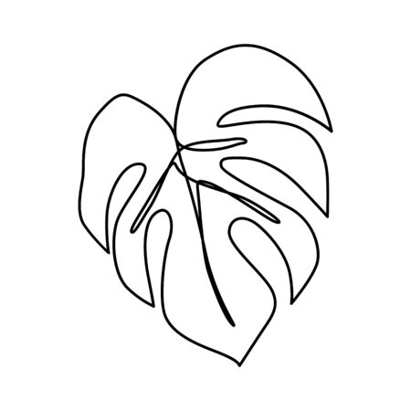 Continuous Line Monstera Leaf Tropical Leaves Contour Drawing One Line Outline Illustration Isolated On White Modern Minimalist Art Single Simple Hand Drawn Decorative Sketch Royalty Free Vector Graphics