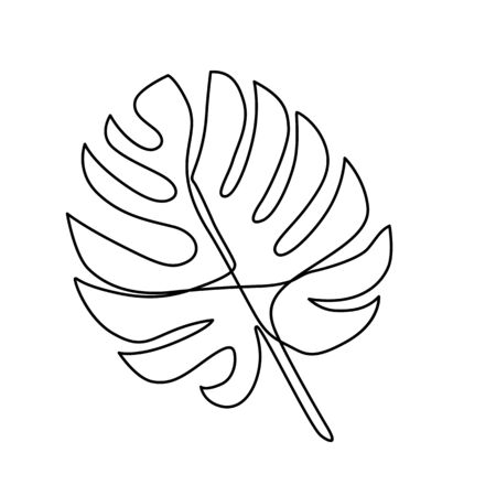 Continuous Line Monstera Leaf Tropical Leaves Contour Drawing One Line Outline Illustration Isolated On White Modern Minimalist Art Single Simple Hand Drawn Decorative Sketch Royalty Free Vector Graphics
