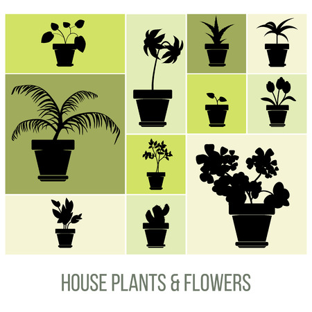 House Plants and Flowers in Pot Silhouettes, Vector Illustrationのイラスト素材