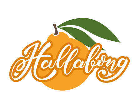 Vector illustration of citrus called hallabong originated from Jeju island. Hallabong handwritten brush lettering. Colourful card, banner, menu, flyer, or poster template. EPS10のイラスト素材