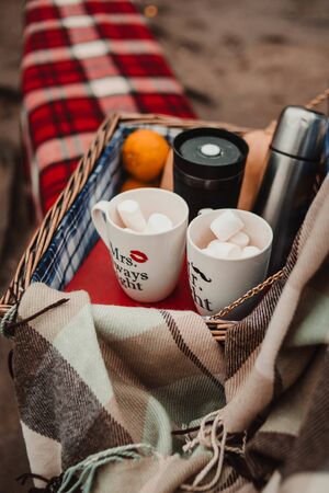 Picnic basket, cups with marshmallows thermos and orangesの写真素材