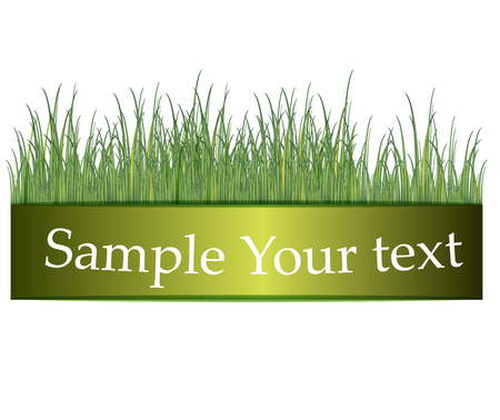 Green grass banners illustration.のイラスト素材