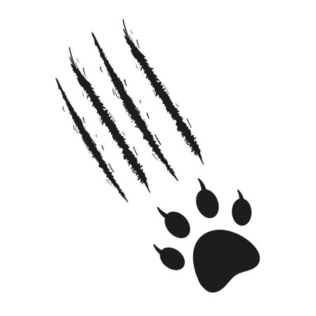 Cat s paw print with traces of scratches and claws. Feline footprint silhouette. Claws scratch scratch. Black and white vector isolated on white background. Design for animal print, banners, posters.のイラスト素材