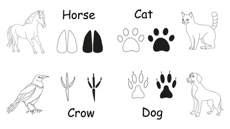 Set of animals Horse, Cat, Dog, Crow and their Footprints. Black and white drawing. Outline, silhouette. Vector isolated. Childrens educational book coloring. Design elements.のイラスト素材
