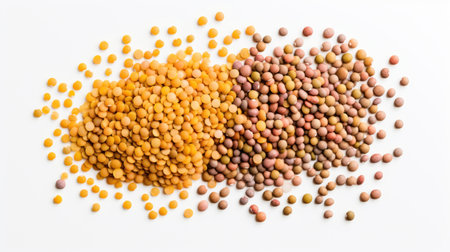 A close-up view of a mix of yellow and brown lentils against a white background. Top view. Ideal for culinary and nutritional content.の素材
