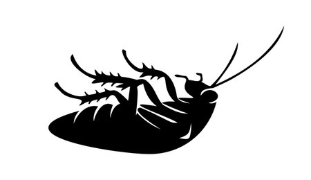 Black silhouette of dead cockroach lying on its back on white backdrop. Vector illustration. Good...
