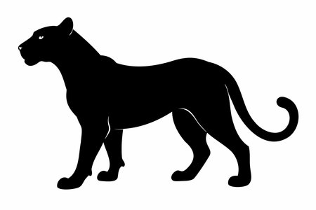 Black silhouette of panther, cheetah, tigress or lioness isolated on a white background. Wild cat. Graphic illustration. Icon, pictogram, template, sign, logotype, print, design elementのイラスト素材