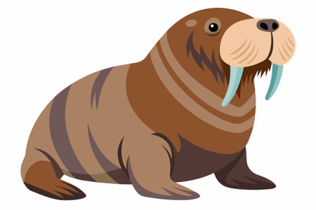 Cartoon illustration of a walrus isolated on a white background. concept of marine life, wild animal illustration, and arctic wildlife.のイラスト素材