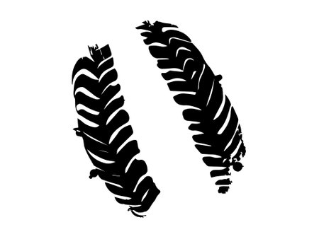 Black tire tracks isolated on a white background. Concept of vehicle mechanics, off-road adventure, transportation, automobile. Print, icon, design element.のイラスト素材