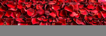 Vibrant Red Rose Petals Background. Concept of Love, Passion, Romance for Special Occasions,...