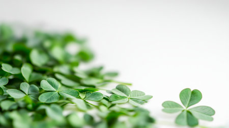 St. Patrick's Day Clover Leaves on White Background. Concept of Luck, Irish Holiday, and Nature's Beauty Celebrations. Copy space.の写真素材
