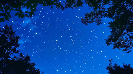 Starlit Night Sky Surrounded by Silhouetted Tree Branches. Concept of Tranquility, Astronomy,...