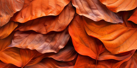 Close-up of autumn leaves in rich orange tones. Concept of fall, nature detail, seasonal changes....