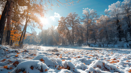 Winter landscape with snowy forest and sunlight. Nature scene, cold weather, winter beauty, serene outdoor concept.の写真素材
