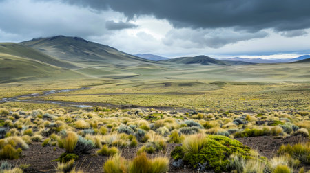 Vast landscape of green hills and dramatic cloudy sky. Concept of nature, wilderness, scenic view, tranquility.の写真素材