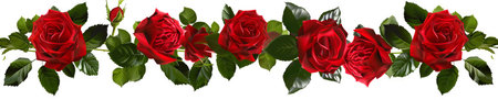 Art of Vibrant Red Roses and Lush Green Leaves in Continuous Horizontal Garland on White Background. Concept of Nature, Romance, Elegance, Floral Design, Romantic Decor. Banner.の写真素材