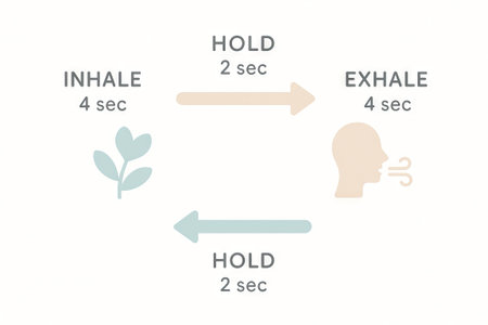 Simple breathing cycle infographic illustrating inhale, exhale, and hold for relaxation and mindfulness practice. Instruction, White background.の写真素材