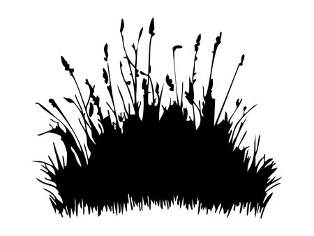 Black silhouette of wild grass and plants isolated on white background, nature illustration. concept of garden, meadow flora, grassland, natural element, botanical icon.のイラスト素材
