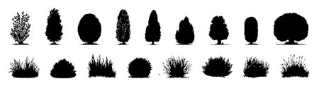 Set of black silhouettes of various trees and bushes, isolated on white background, graphic illustration. concept of nature, landscape design, botany, plant collection, garden decor.のイラスト素材