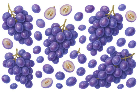 Png watercolor grape pattern with purple grapes and slices isolated on transparent background. concept of fruit decor, vineyard design, botanical elements, editable grape illustration.の写真素材