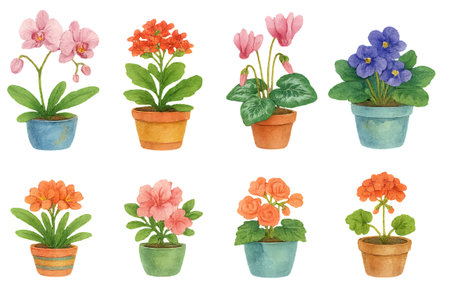 Png blooming houseplants set with watercolor potted flowers isolated on transparent background. concept of indoor gardening, floral clip art, botanical elements, spring decor.の写真素材