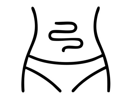 Black outline of human female belly with intestine symbol, isolated on white background, illustration. Concept of digestion, gut health, metabolism, stomach care, anatomy icon, medical design element.のイラスト素材