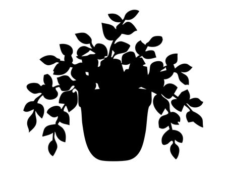 Black silhouette of potted plant with cascading leaves, isolated on white background, graphic illustration. concept of botanical, decor, houseplant, nature, design element.のイラスト素材