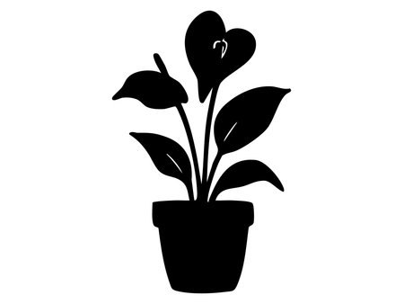 Black silhouette of potted spathiphyllum plant isolated on white background, graphic illustration. concept of houseplant, botanical icon, leaf design, garden decor, nature, home interior.のイラスト素材