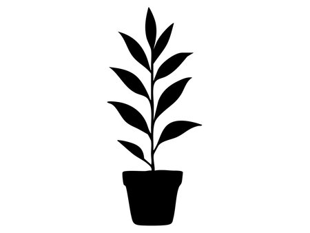 Black silhouette of potted plant with leaves isolated on white background. concept of houseplant, interior decor, nature icon, garden element, botanical graphic illustration.のイラスト素材