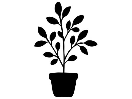 Black silhouette of potted plant with leaves isolated on white background, graphic illustration. concept of indoor plant, nature, home decor, botanical art, design element.のイラスト素材